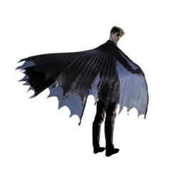 Cape Ailes noires Batman